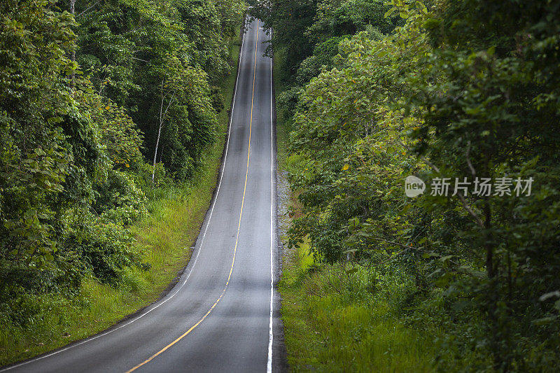 泰国Khao Yai国家公园的景观道路